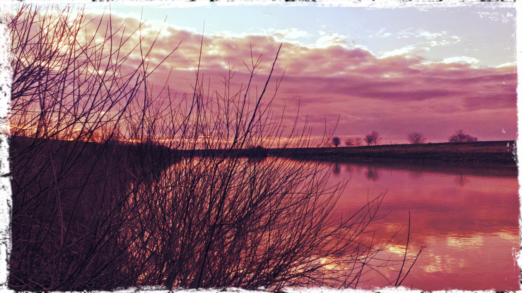 Nice :) - rauri-pentru-pescuitul-crapului-idella.jpg